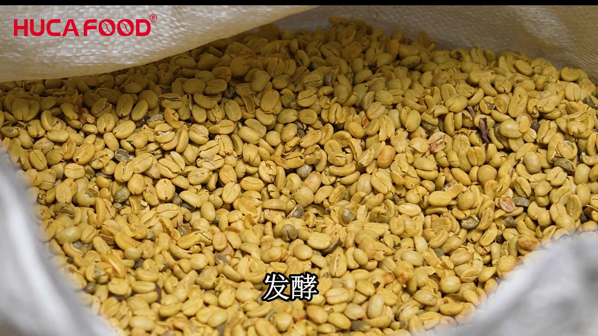 gia công cà phê,gia công cafe hoà tan,công ty gia công cà phê,OEM &amp; Private Label